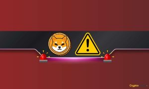 Read more about the article Shiba Inu (SHIB) Team With Crucial Warning to Its Community