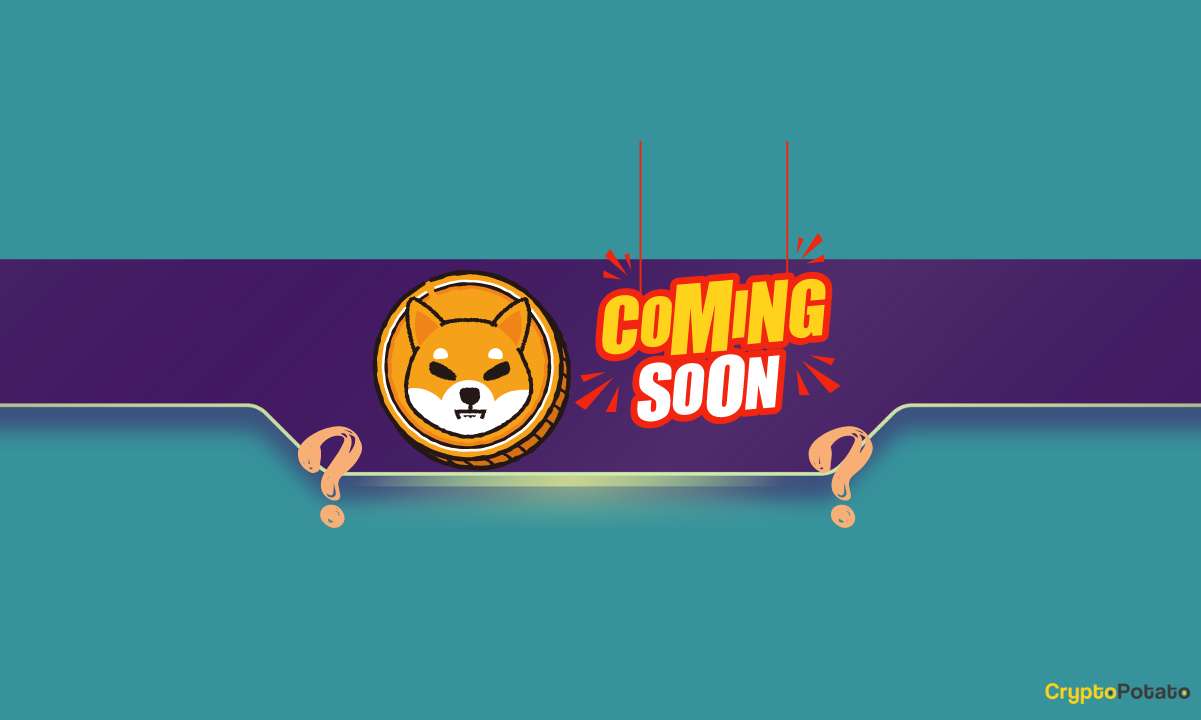 You are currently viewing What’s Coming to Shiba Inu (SHIB)? Lead Dev Hints at Major Release