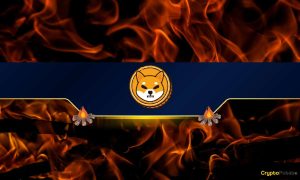 Shiba Inu (SHIB) Burn Rate Skyrockets by 30,000%