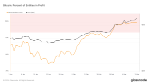 Read more about the article Bitcoin’s surge to $73k put 99.76% of entities in profit, signaling mature phase of bull market