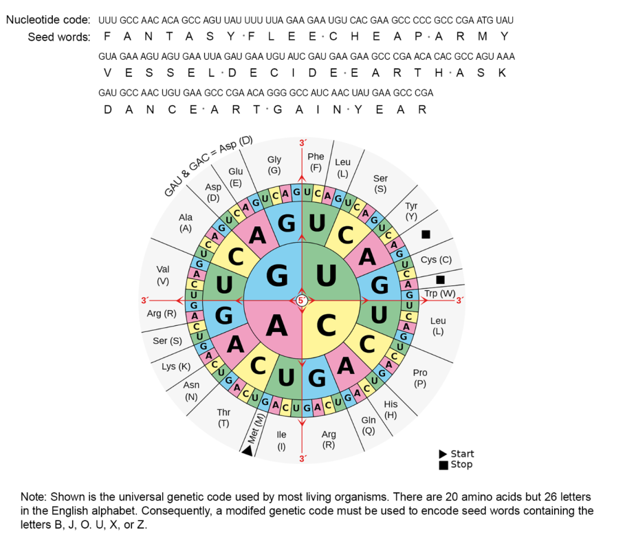 You are currently viewing Saving Seeds in DNA: Bitcoin as Information