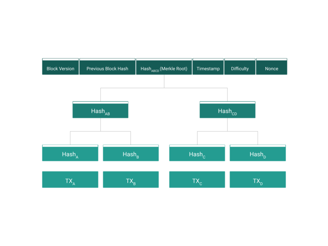 Bitcoin: The Tree of Bytes