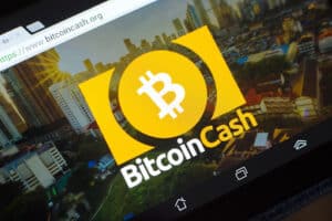 You are currently viewing Bitcoin Cash reflects Bitcoin in its price decline, while investors choose the first place for the presale of Milei Moneda