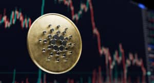 Read more about the article Expert Signals Bullish Momentum for Borroe Finance Presale Against Sluggish Trends on Cardano and Stellar