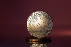 Read more about the article Avalanche: The Dark Horse of 2024’s Crypto Race – 100% Uptick Expected for Nugget Rush Presale