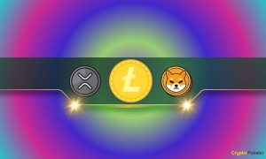 Read more about the article Ripple (XRP) and Shiba Inu (SHIB) are Among the Top 6 Altcoins With Most Holders: Details