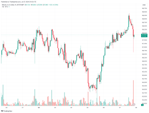 Read more about the article Bitcoin Dumped $2.5K Before Recovery: Trump’s Speech Caused Huge volatility