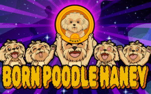 Read more about the article Poodle Haney Price Prediction – Newest Dog Meme Crypto