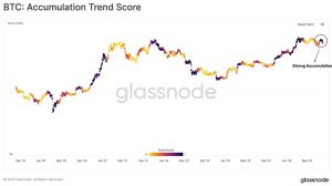 Read more about the article Investor Sentiment Uncertain, Yet Bitcoin’s HODLing Trends Resurface During Market Decline