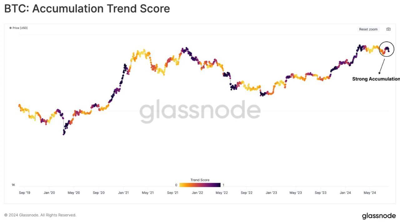 You are currently viewing Investor Sentiment Uncertain, Yet Bitcoin’s HODLing Trends Resurface During Market Decline