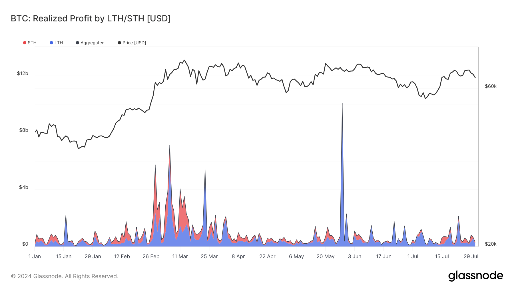 Bitcoin long-term holders dominate profit realizations in 2024, leveraging price peaks