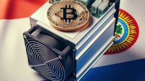 Read more about the article Paraguay’s Power Chief: No Cryptocurrency Mining Company Has Left Yet