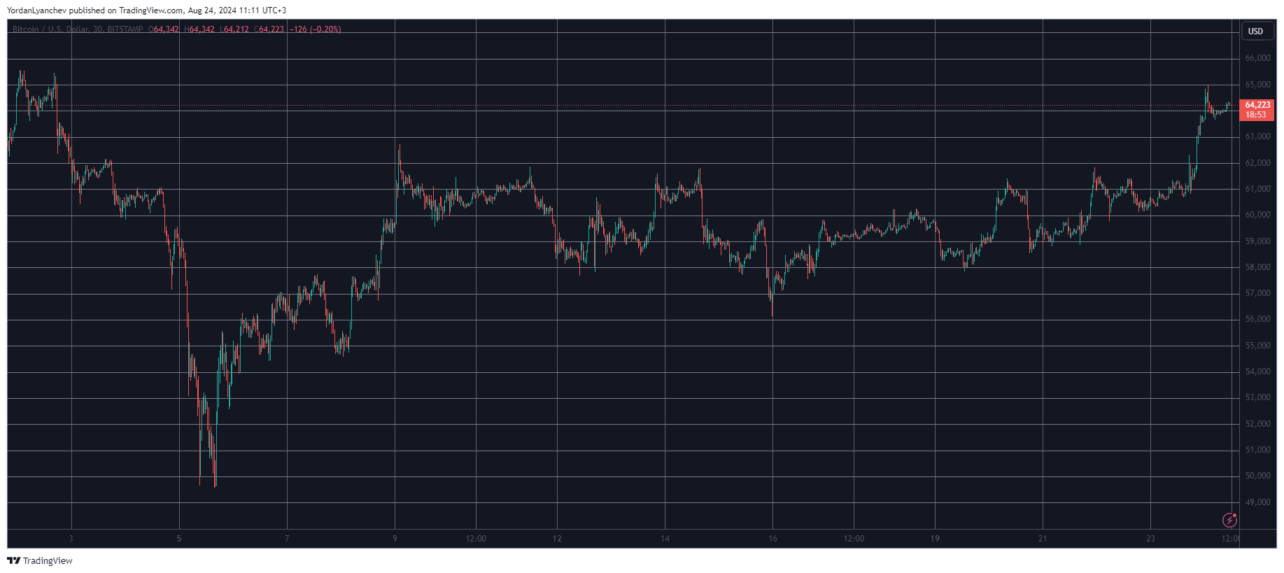 Bitcoin Exploded to K While Solana and Shiba Inu Gained 6% Daily (Weekend Watch)