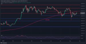 Read more about the article BTC Price Analysis: Is Bitcoin About to Explode to $64K Soon?