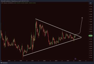 Super Bullish Ripple (XRP) Price Prediction, But Some Worrying Signs Appear