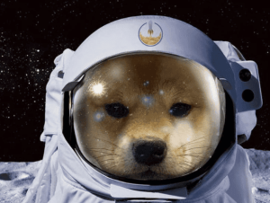 Read more about the article DogWifHat Price Soars as Crypto Sentiment Recovers, New P2E Meme Coin PlayDoge Also Rallies