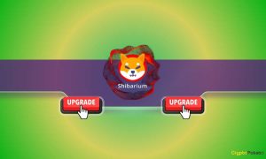 Important Shiba Inu (SHIB) Update