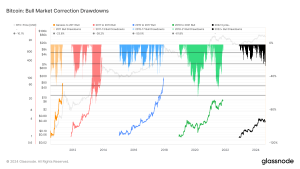 Bitcoin’s 2022 bull cycle shows recurring deep corrections, aligning with historical patterns