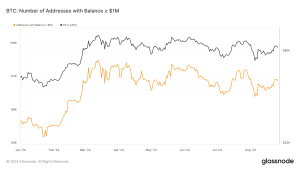 Read more about the article Bitcoin’s millionaire addresses rise and fall with market dynamics