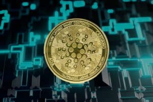 Binance prepares the ground for the Cardano (ADA) network upgrade