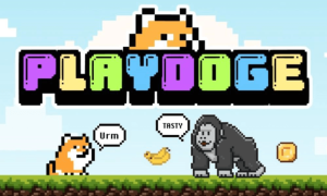 PlayDoge Presale Enters Final 3 Days After Raising Over M – Will $PLAY Explode?