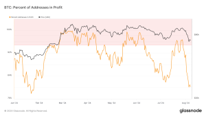 Read more about the article Bitcoin addresses in profit hit 100% pre-halving but fell to 80% by August