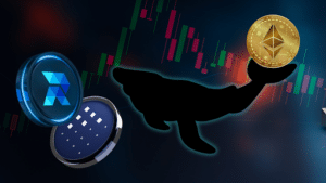 Read more about the article Ethereum Whales Buy 200K ETH in 3 Days Says Analyst, Smart Money Set to Invest in RCOF and FET