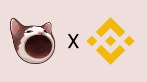 Read more about the article Popcat Price Up 35% After Binance Listing—If Rumors Are True, Could MoonBag Be Next?