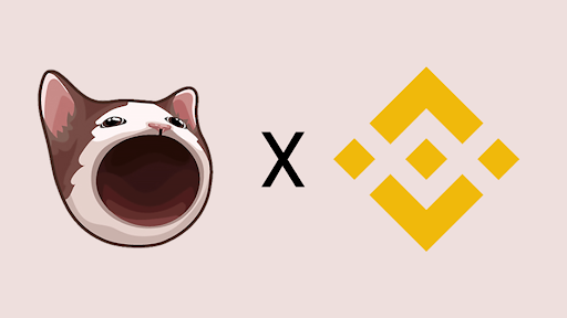 Popcat Price Up 35% After Binance Listing—If Rumors Are True, Could MoonBag Be Next?