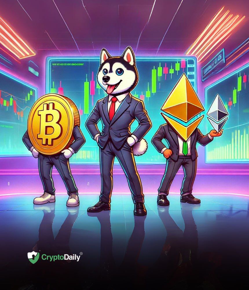 You are currently viewing Memecoin Investors Flock to Husky Inu ($HINU) Amid Market Recovery