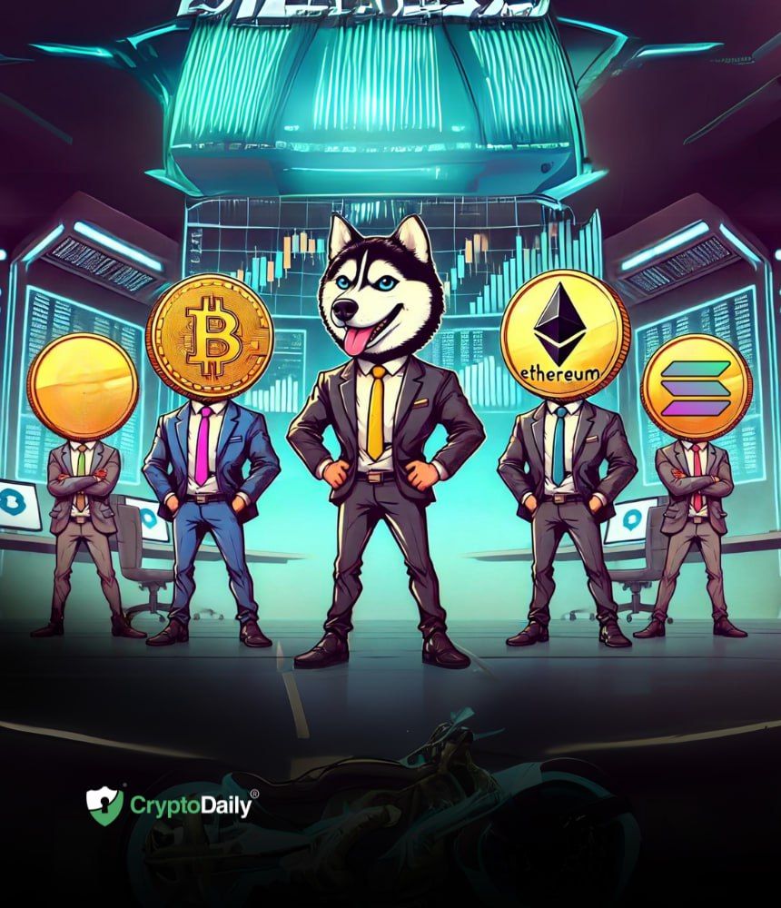 You are currently viewing Investors Rush to Husky Inu ($HINU) As Crypto Market Rallies