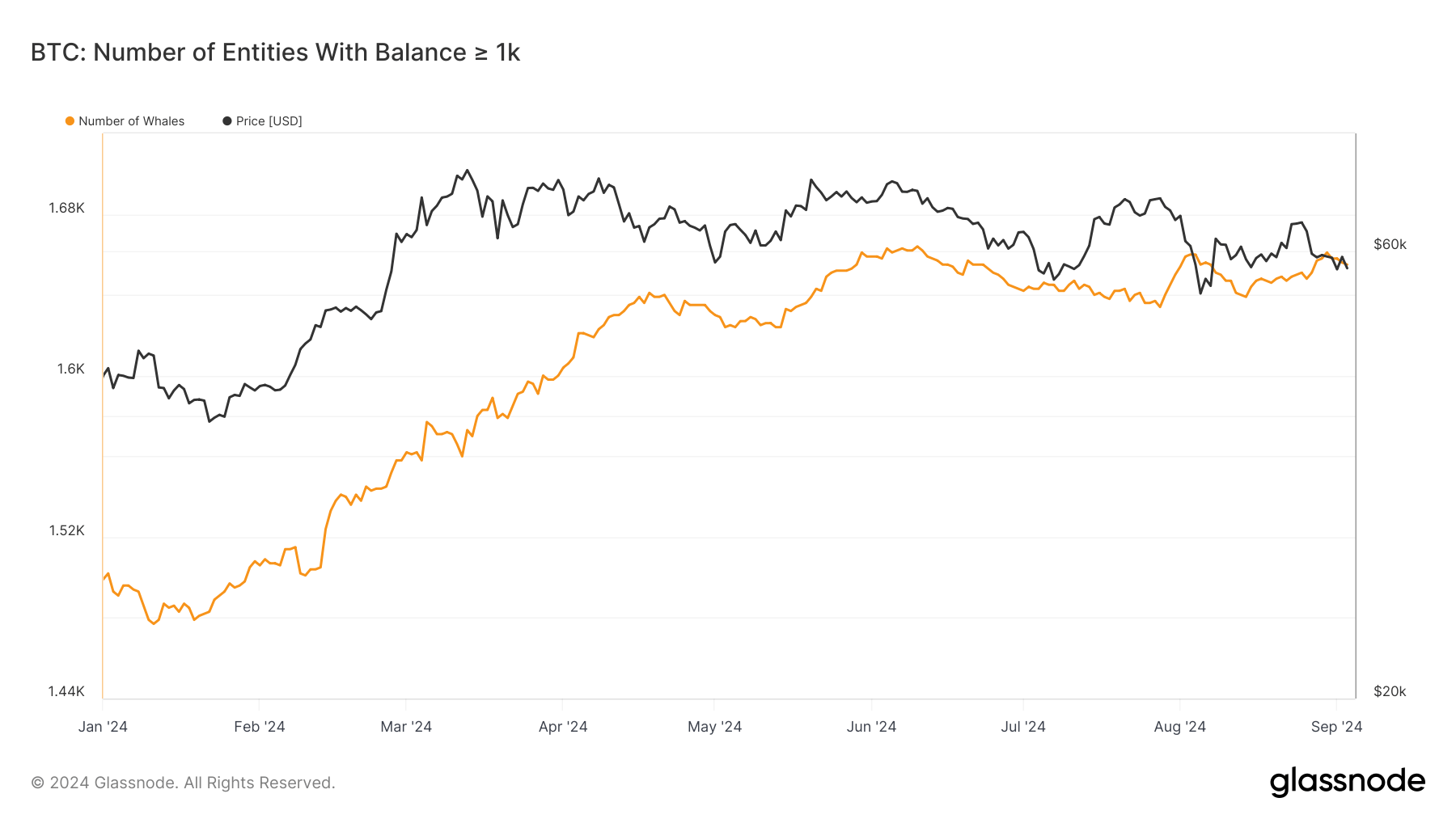 You are currently viewing Bitcoin whale holdings steady at 1,600 entities, post-ETF surge stabilizes price