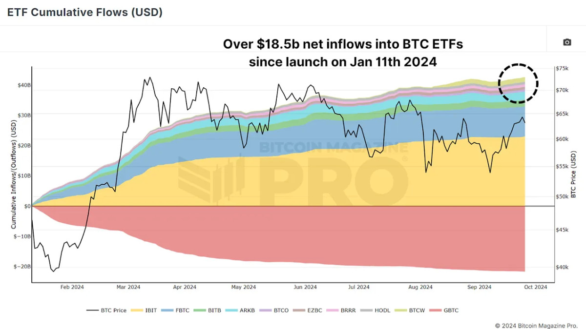 You are currently viewing Maximizing Bitcoin Gains with ETF Data