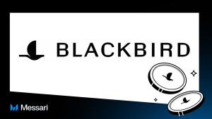 Read more about the article “Blackbird Fly, Blackbird Fly” – A Model for Web3 Loyalty Programs