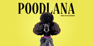 Read more about the article London Fashion Week Highlights: Why POODL is Flying