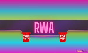 Read more about the article These Are the Top 10 RWA Cryptocurrencies by Development Activity