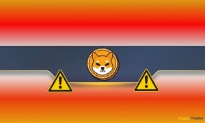 Read more about the article Major Warning Concerning Shiba Inu (SHIB) Users