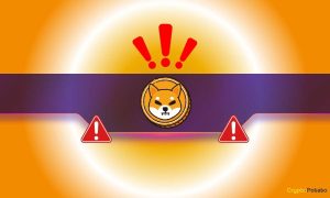 Read more about the article Watch Out: Shiba Inu Team Issues a Major Warning About This Dangerous Scam