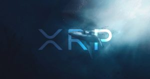 Read more about the article XRP Whale on the Move: Massive 30M Transfer Sparks Curiosity