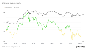 Read more about the article Bitcoin’s entity-adjusted NUPL signals heightened market uncertainty below $60k