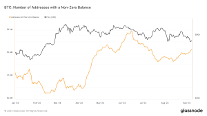 Read more about the article Bitcoin addresses with non-zero balances climb over 50 million in 2024