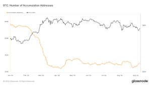 Read more about the article Bitcoin accumulation addresses decline sharply in 2024