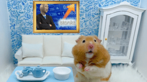 Read more about the article Hamster Price Prediction – Will $HAM Token Explode In 2024