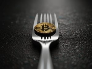 Read more about the article Bitcoin Forks: Pathways to Innovation or Disruptive Forces?