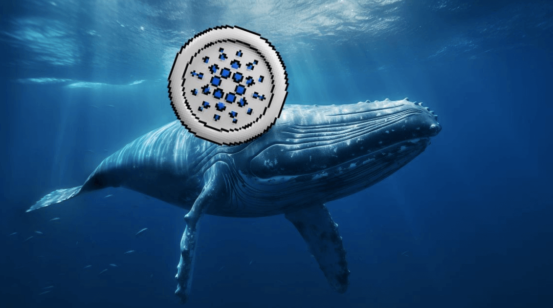 You are currently viewing Is This Under-$1 Crypto Set to Dethrone Cardano (ADA)? Why Even ADA Whales Are Betting On It