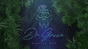 Read more about the article Dr Green’s Digital Key uses Blockchain Technology to Revolutionize the Cannabis Industry