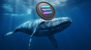 Read more about the article Massive Solana Whale Highlights Top 5 Altcoins for November—Memecoins Are the Focus