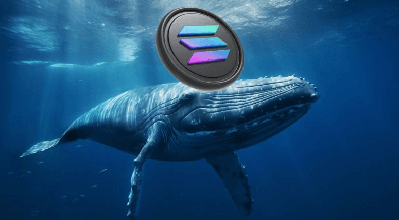 You are currently viewing Massive Solana Whale Highlights Top 5 Altcoins for November—Memecoins Are the Focus