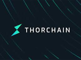 Read more about the article Zig Network's Vision: Attracting VeChain (VET) and Thorchain (RUNE) Investors