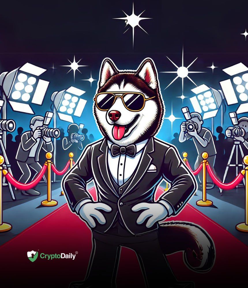 You are currently viewing Husky Inu (HINU) Presale Success Continues Amid Transition to New Domain